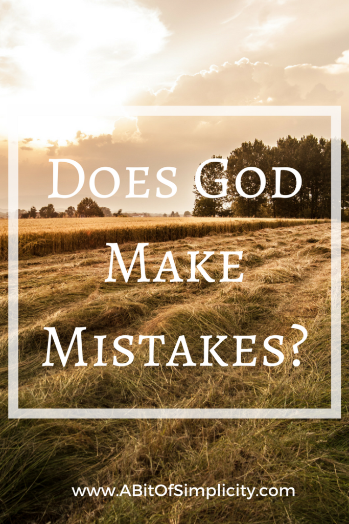 does-god-make-mistakes-a-bit-of-simplicity